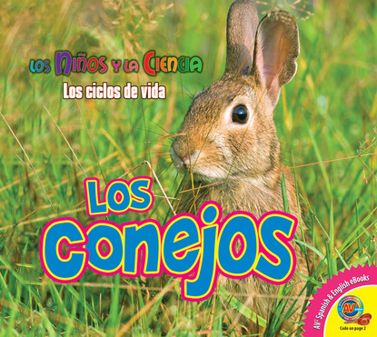

Los conejos