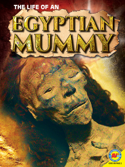 

The Life of an Egyptian Mummy