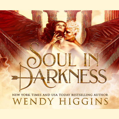 Soul In Darkness (Unabridged) - Wendy  Higgins