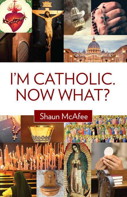 Shaun McAfee - I'm Catholic. Now What?