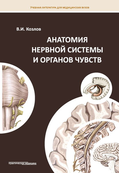 В. И. Козлов - Анатомия нервной системы и органов чувств