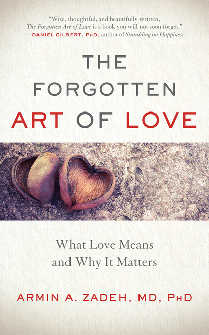 Armin A. Zadeh — The Forgotten Art of Love