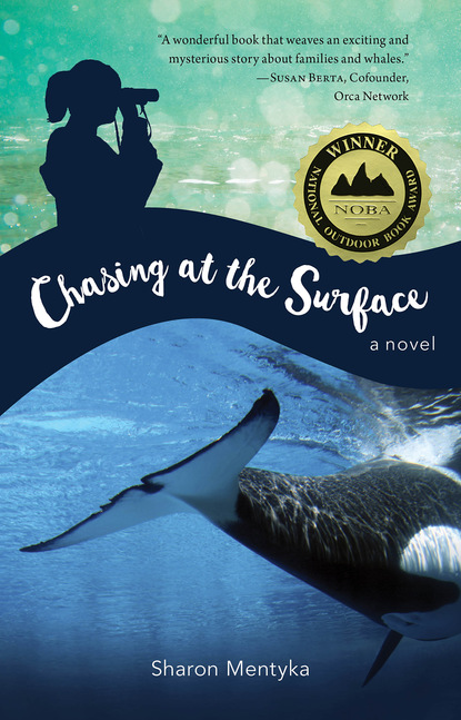 Sharon Mentyka — Chasing at the Surface