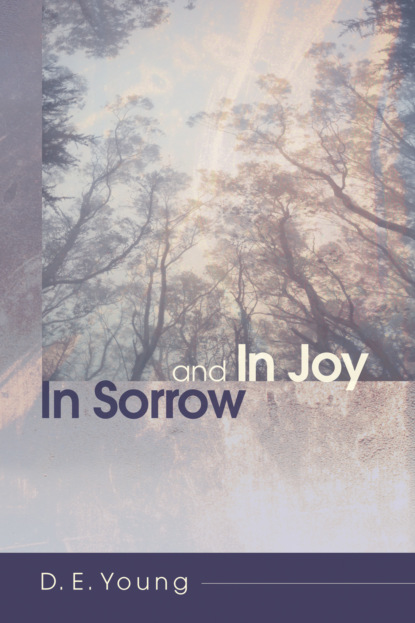 D. E. Young - In Sorrow and In Joy