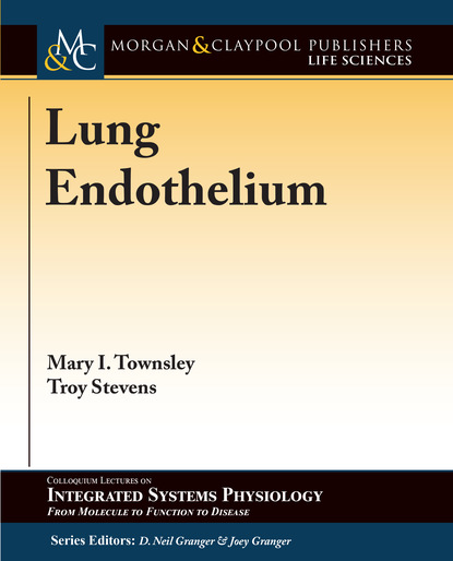 

Lung Endothelium