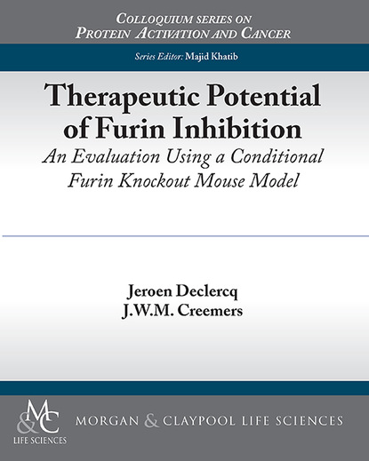 

Therapeutic Potential of Furin Inhibition