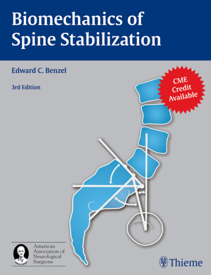 Группа авторов - Biomechanics of Spine Stabilization