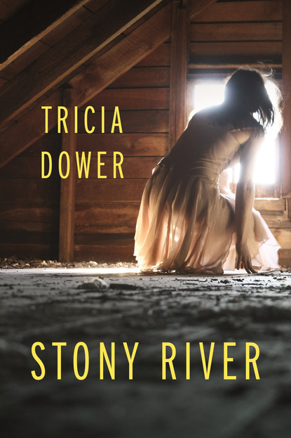 

Stony River