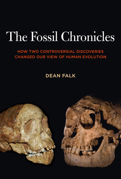 

The Fossil Chronicles