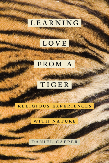 Daniel Capper - Learning Love from a Tiger