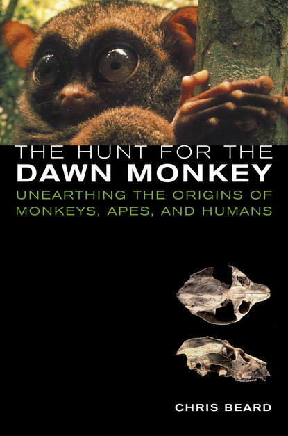 Christopher Beard - The Hunt for the Dawn Monkey