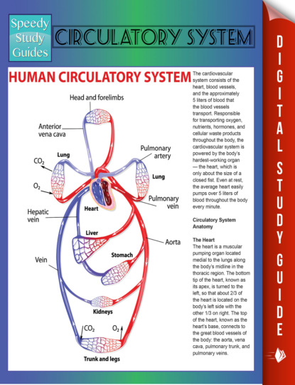 Speedy Publishing - Circulatory System (Speedy Study Guides)