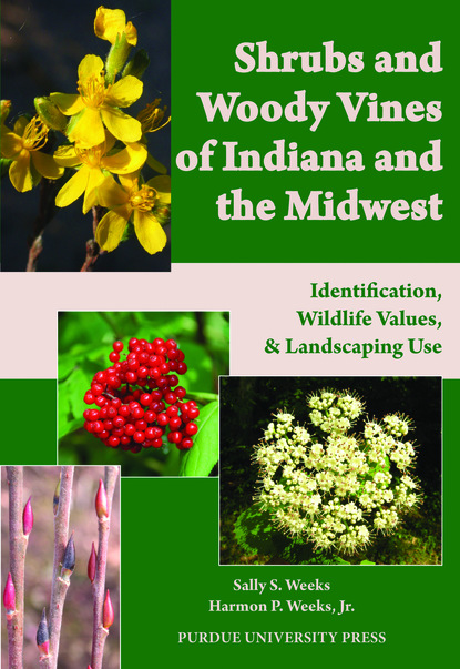 

Shrubs and Woody Vines of Indiana and the Midwest