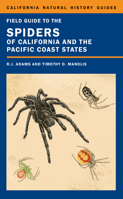 Richard J. Adams - Field Guide to the Spiders of California and the Pacific Coast States