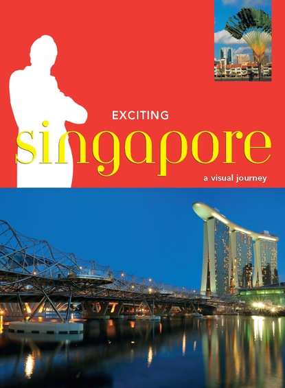 David Blocksidge - Exciting Singapore