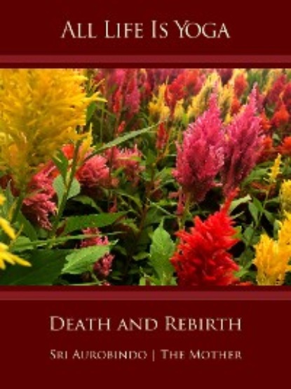Sri Aurobindo - All Life Is Yoga: Death and Rebirth