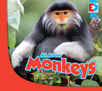 

All About Monkeys