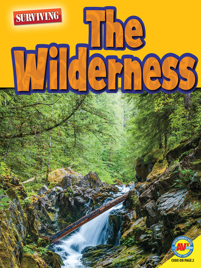 

The Wilderness