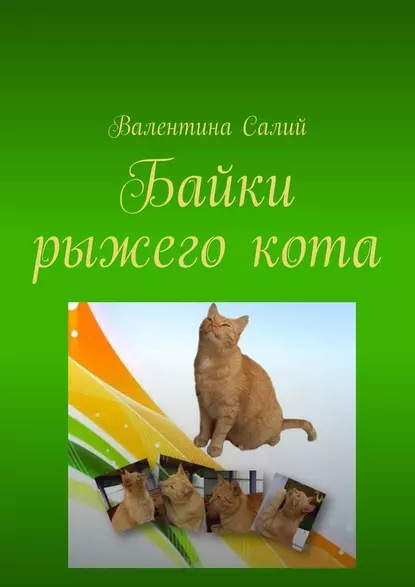 Обложка книги Байки рыжего кота. Стихи, Валентина Михайловна Салий