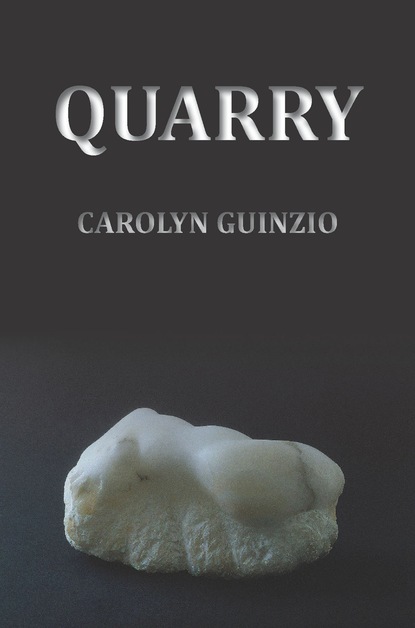 Carolyn Guinzio - Quarry