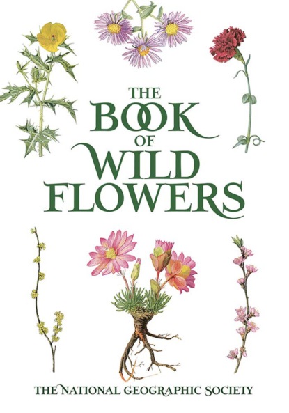 Группа авторов - The Book of Wild Flowers