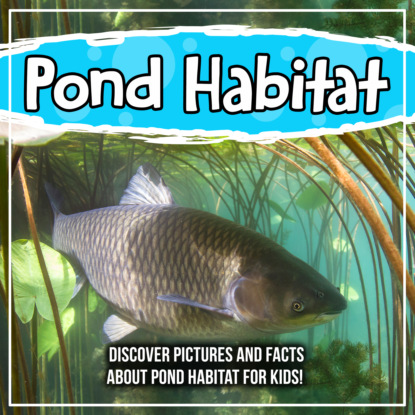 

Pond Habitat: Discover Pictures and Facts About Pond Habitat For Kids!