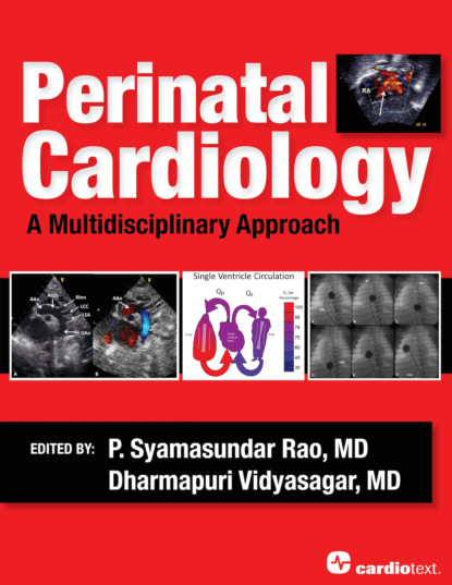 Группа авторов - Perinatal Cardiology: A Multidisciplinary Approach