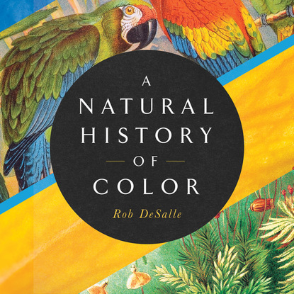 Ксюша Ангел - A Natural History of Color - The Science Behind What We See and How We See it (Unabridged)