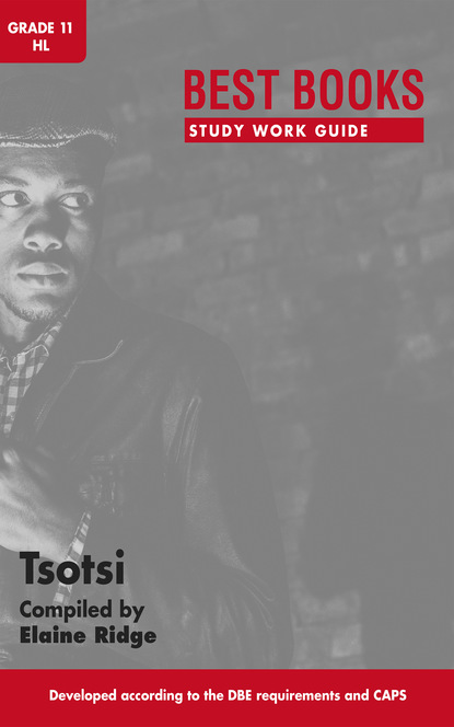 Elaine Ridge - Best Books Study Work Guide: Tsotsi Gr 11 HL