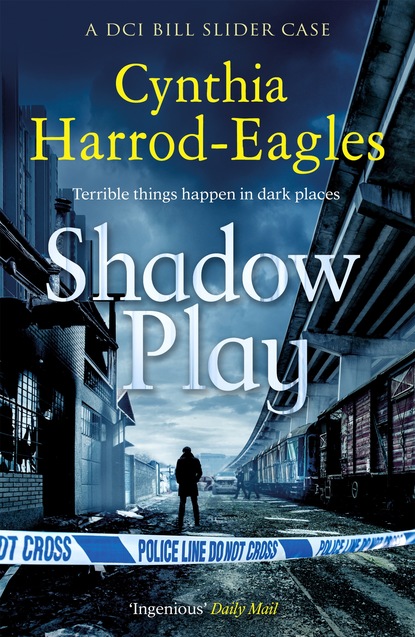 Cynthia Harrod-Eagles — Shadow Play