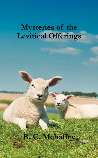 Beth Mehaffey — Mysteries of the Levitical Offerings