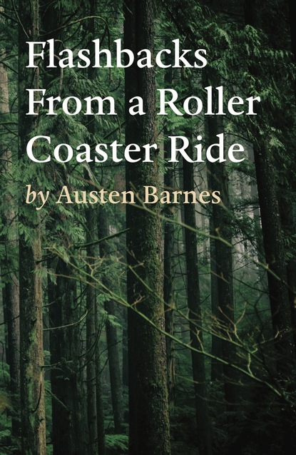 Austen Barnes — Flashbacks From a Roller Coaster Ride