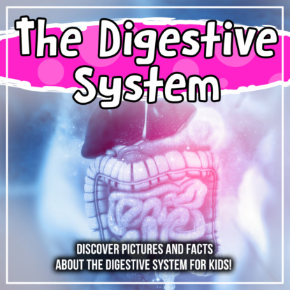 

The Digestive System: Discover Pictures and Facts About The Digestive System For Kids!