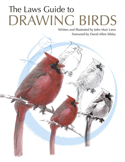 John Muir Laws - The Laws Guide to Drawing Birds