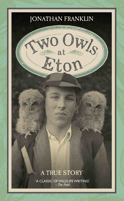 Jonathan Franklin - Two Owls at Eton - A True Story