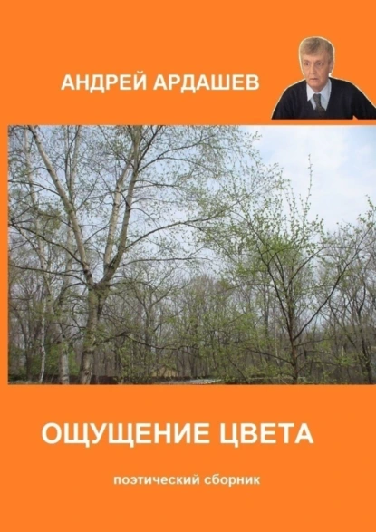 Обложка книги Ощущение цвета. Поэтический сборник, Андрей Ардашев