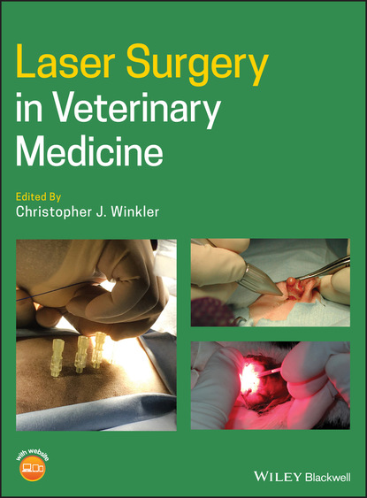Группа авторов - Laser Surgery in Veterinary Medicine