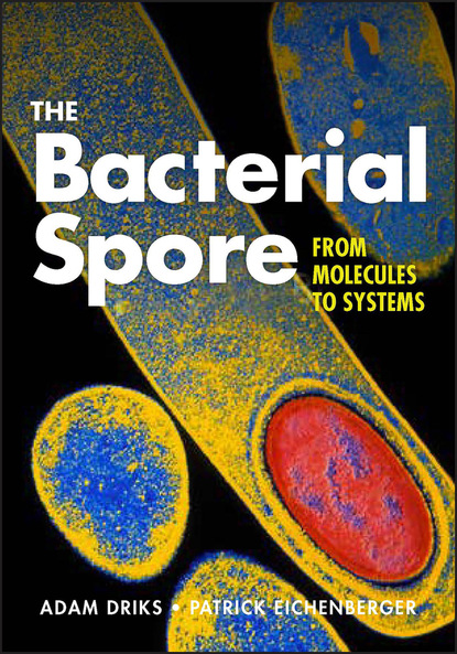 Группа авторов - The Bacterial Spore