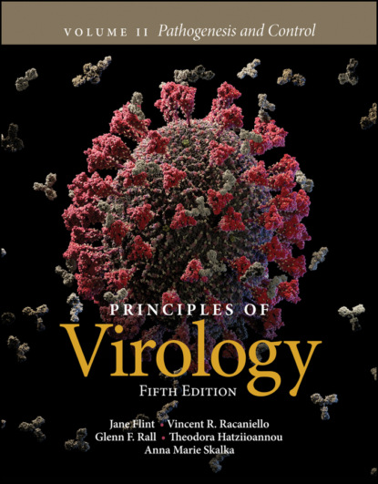 S. Jane Flint - Principles of Virology, Volume 2