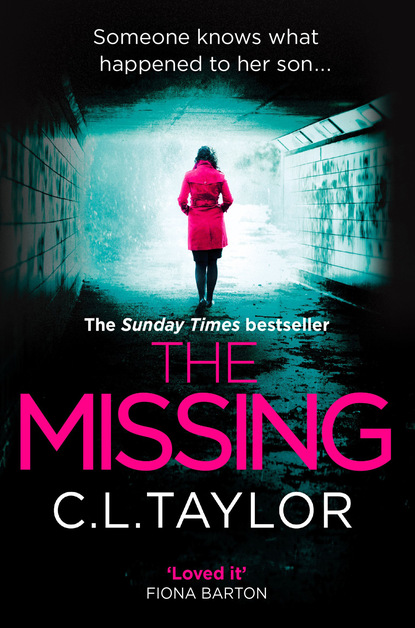 C.L. Taylor - The Missing