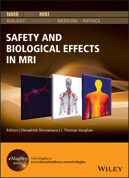 Safety and Biological Effects in MRI - Группа авторов