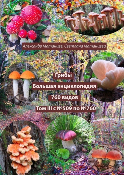 Обложка книги Грибы. Большая энциклопедия. 760 видов. Том III. С №509 по №760, Александр Матанцев