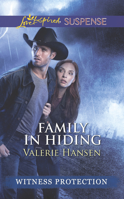 Valerie  Hansen - Family In Hiding