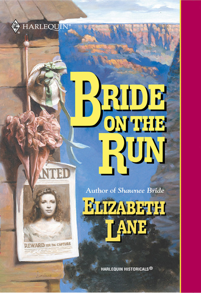 Elizabeth Lane - Bride On The Run