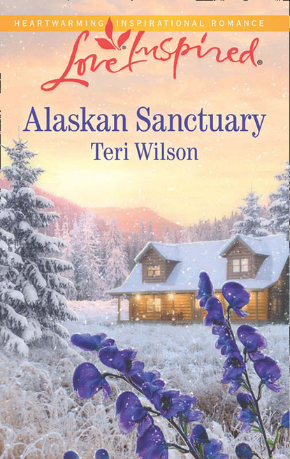 Teri Wilson - Alaskan Sanctuary