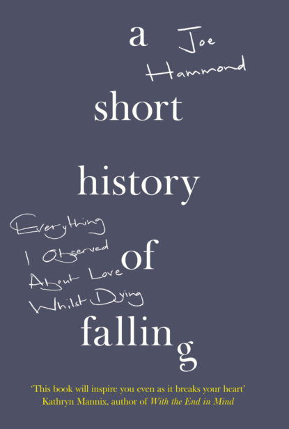 A Short History of Falling - Joe Hammond
