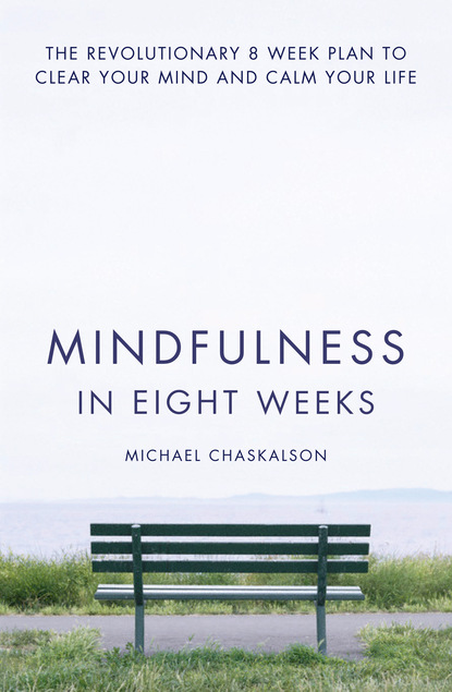 Mindfulness in Eight Weeks (Michael Chaskalson). 