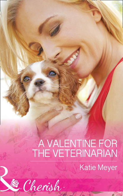 Katie Meyer - A Valentine For The Veterinarian