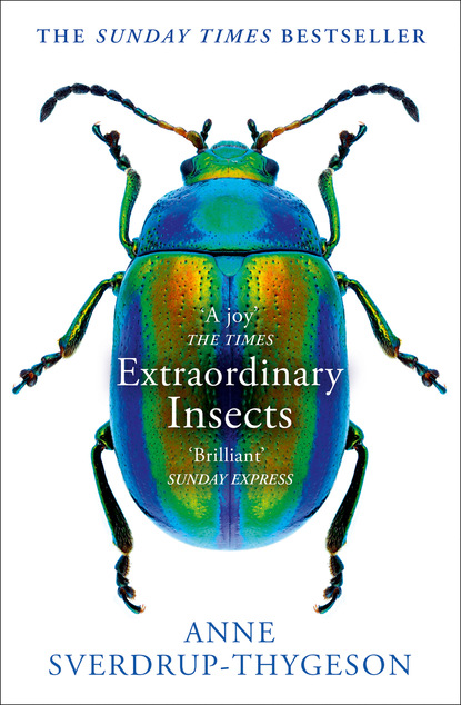 Anne Sverdrup-Thygeson — Extraordinary Insects