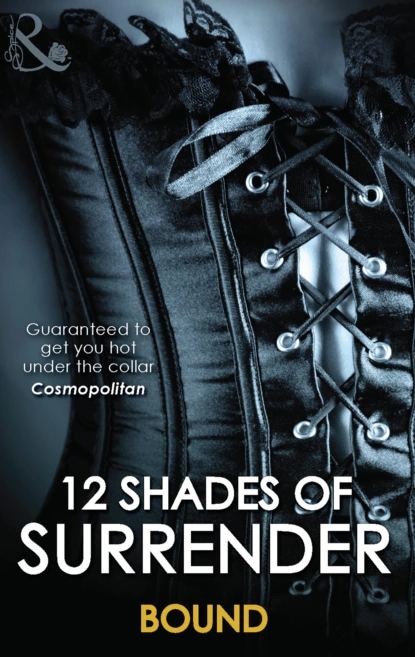 Обложка книги 12 Shades Of Surrender: Bound, Lisa Renee Jones